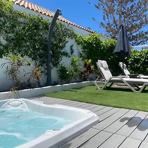 Palmera , Maspalomas (Gran Canaria) Spain